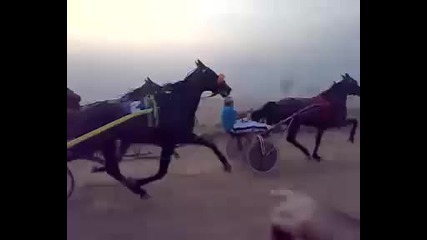 бързи коне