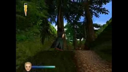 Harry Potter and the Philosopher's Stone warktrought 11