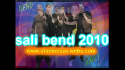сали 2010 г