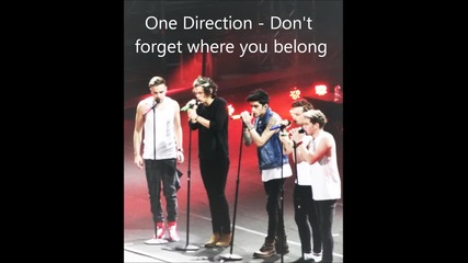 Audio | One Direction - Don't forget where you belong - Wwa Tour- Santiago, Chile - April 30