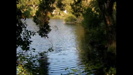 New Orleans City Park Slideshow 