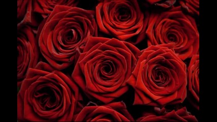 Samuil Gelev - Seven Roses