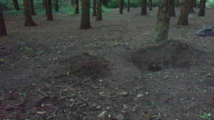 Ico i Kriso skachat skok na forest-a