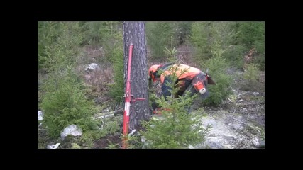 Husqvarna 560 Xpg del 1 - Youtube