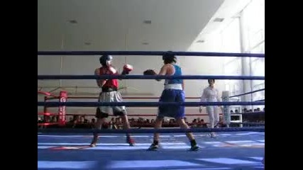 гратско по бокс 2009