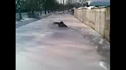Шомбата прави салто - смях 