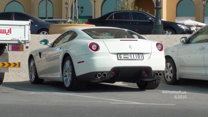 Cars of Dubai 