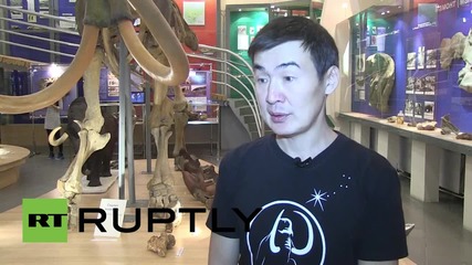 Русия: Откриха останки от мамут, даващи надежди за клонирането му