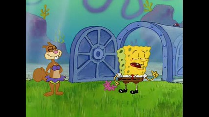 Spongebob Squarepants - Tea at the tree dome