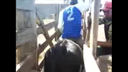 No tempo que eu Era Abeia! Primeira Muntaria que Fiz na vida.. tudo Errado (rodeio em Touros) 