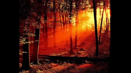 Just Relax Nero Lounge Music