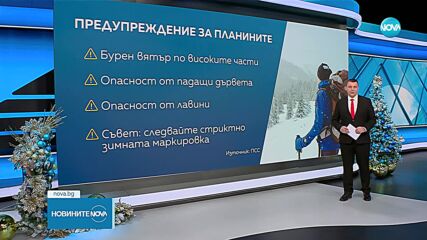 ПСС предупреди за опасност от падащи дървета и лавини