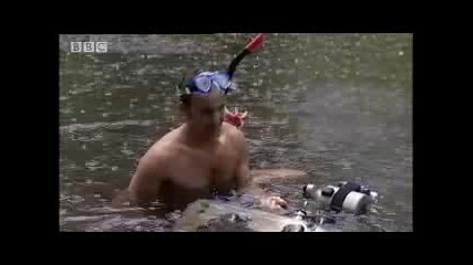 Amazing nature - the Amazon rainforest - wettest place on Earth - Bbc wildlife 