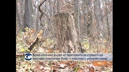 Всяко изсечено дърво на територията на страната вече ще получава електронен билет и пластина с уникален номер