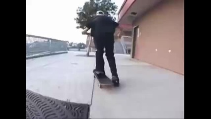 Ryan Sheckler Skateboarding