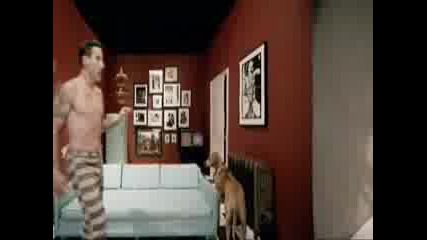 Red Hot Chili Peppers - Look Around (превод)