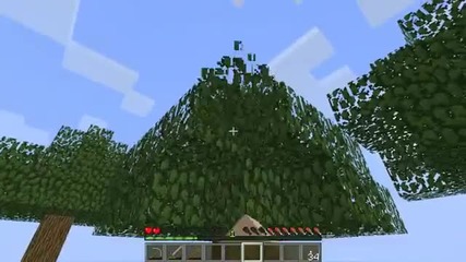 Minecraft_ _survival Island_ - Day 2