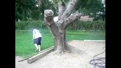 Момче преминава през дърво Оптична илюзия 