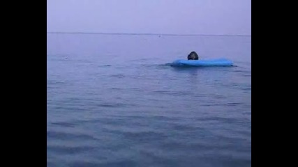 Spasiteli na plaja 3 