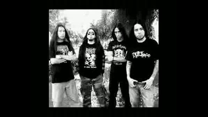 Disgorge