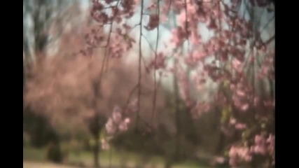 Spring Time 