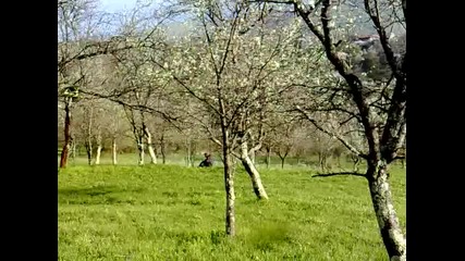 radi