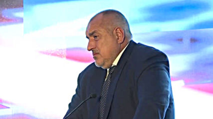 Борисов: Камините на скъпите къщи в подножието на Витоша и те работят на дърва