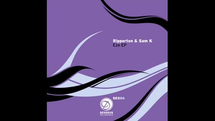 Sam K - Desperate Housetrack 
