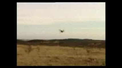 Охота С Курцхаар На Куропатка