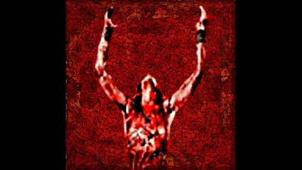 The Rise - - - W.a.s.p. 