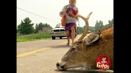 Скрита Камера - Еп.803