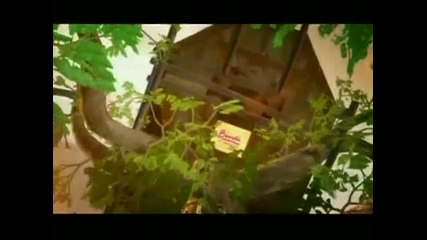 Бинди: Момичето от Джунглата - Епизод 02 – Слонове на работа