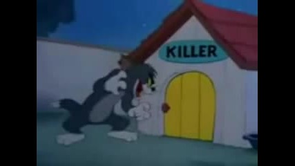 Tom and Jerry (bg Parody)
