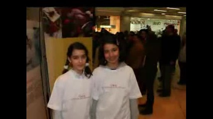 Vip Brother 3 Bg
