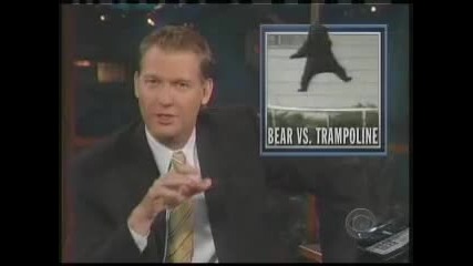 Bear Trampoline_(360p)