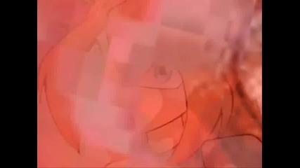 Dark bloom and Bloom - In Control