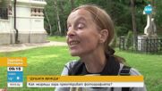 „Душата вижда”: Как незрящи хора преоткриват фотографията