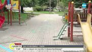 Кой „осинови” парк в Димитровград