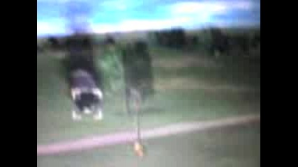 Танкове От Panzer Elit