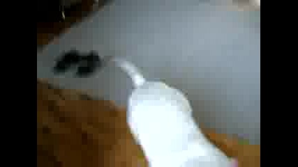 bulterier