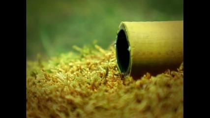 Minuscule.s01e07