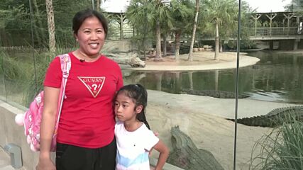 В Дубай отвори врати уникален аквапарк за крокодили