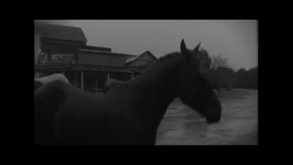 Paula Nelson and Willie Nelson - _have You Ever Seen the Rai