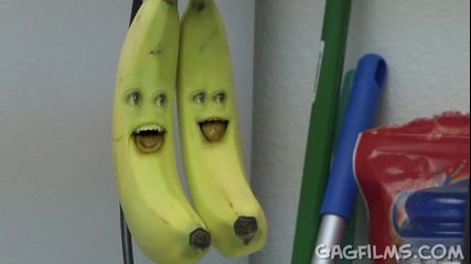 Annoying Orange