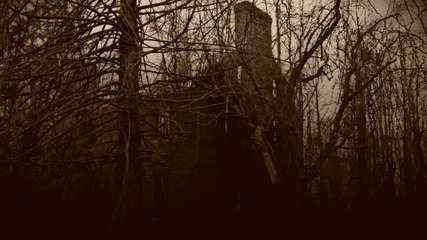 Borgne - All these screams through me