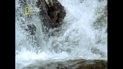 National Geographic - H D 