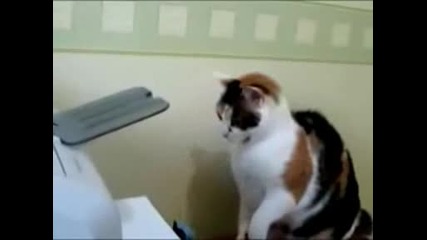 I Cant Get The Printer To Work