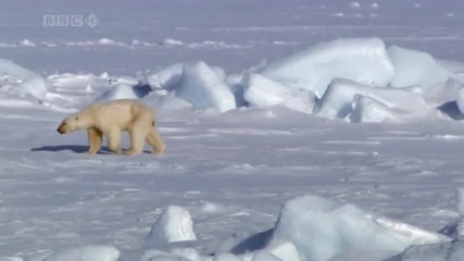 Planet Earth From Pole To Pole - Part 1 