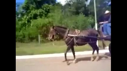 С каруца, но гъзар ! 