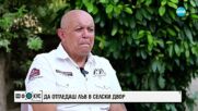 Историята на лъвицата Симба: Да отгледаш дива котка в селски двор